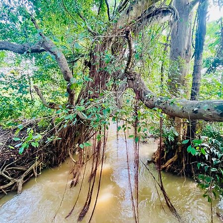Sigiriya River Side Villa Екстер'єр фото