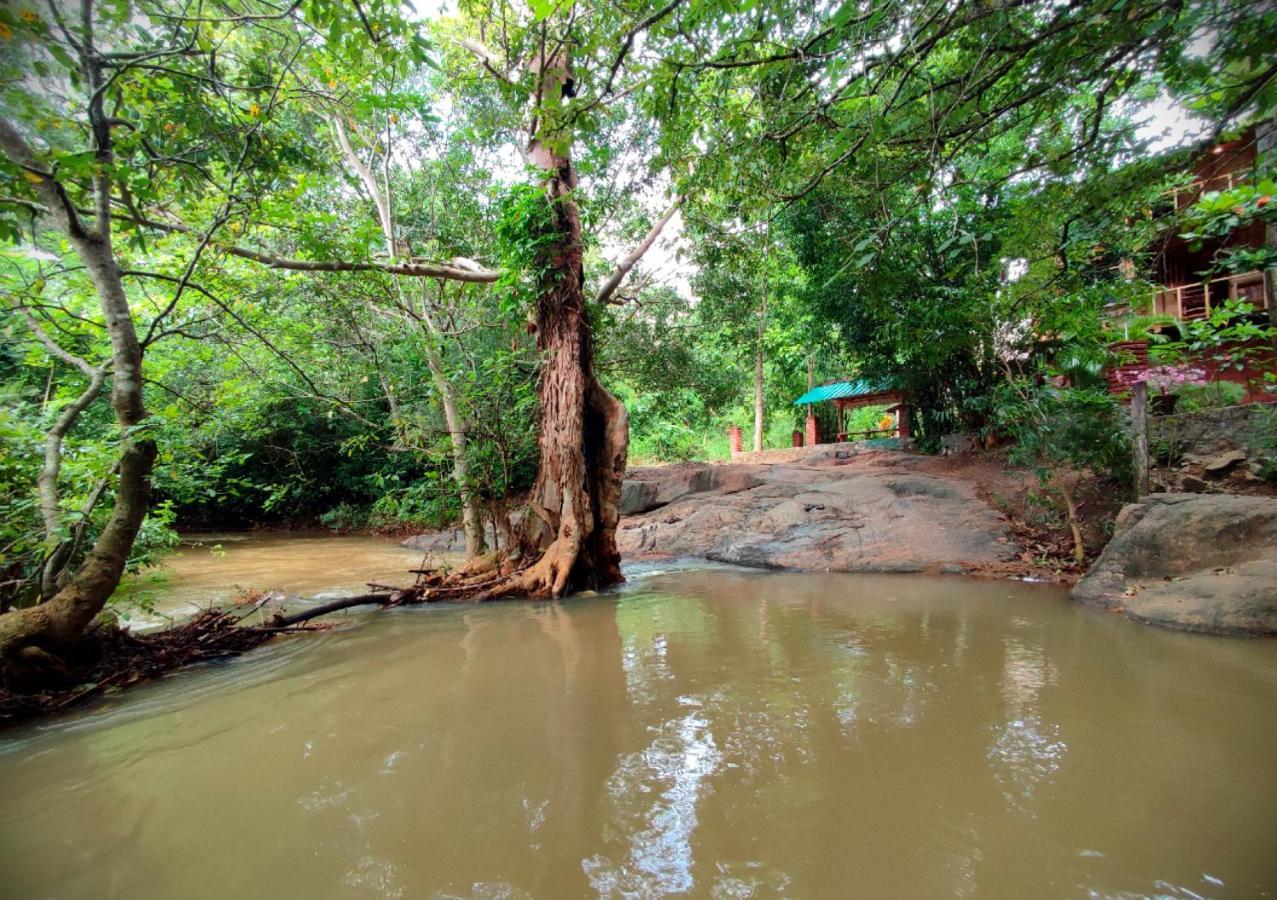 Sigiriya River Side Villa Екстер'єр фото