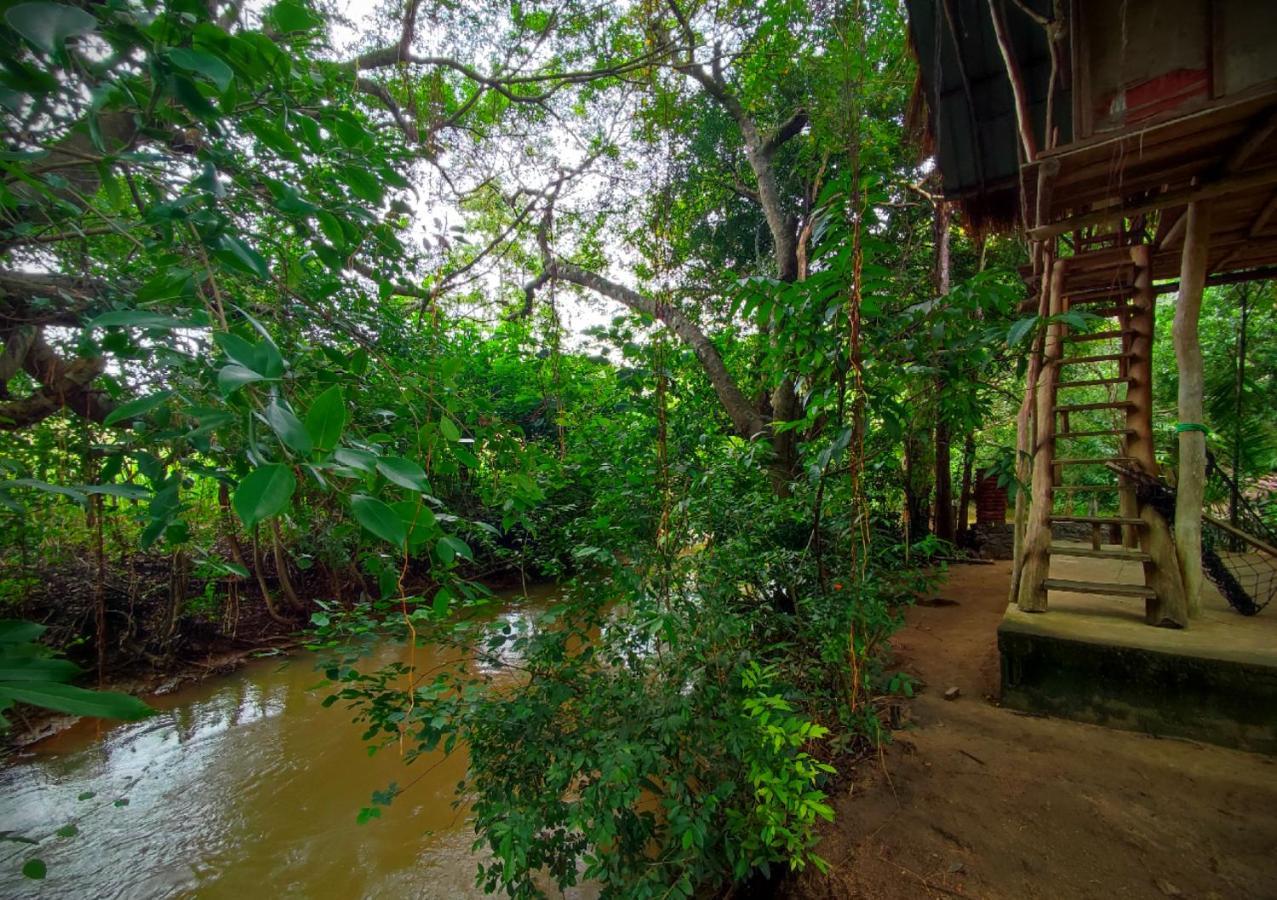 Sigiriya River Side Villa Екстер'єр фото