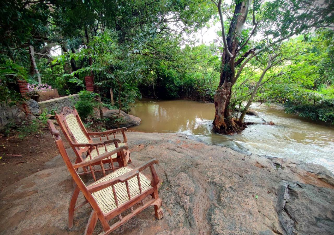 Sigiriya River Side Villa Екстер'єр фото