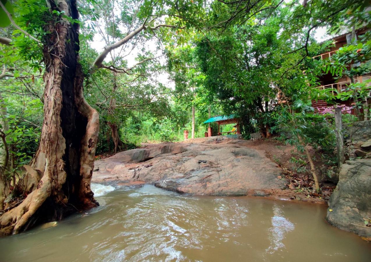 Sigiriya River Side Villa Екстер'єр фото