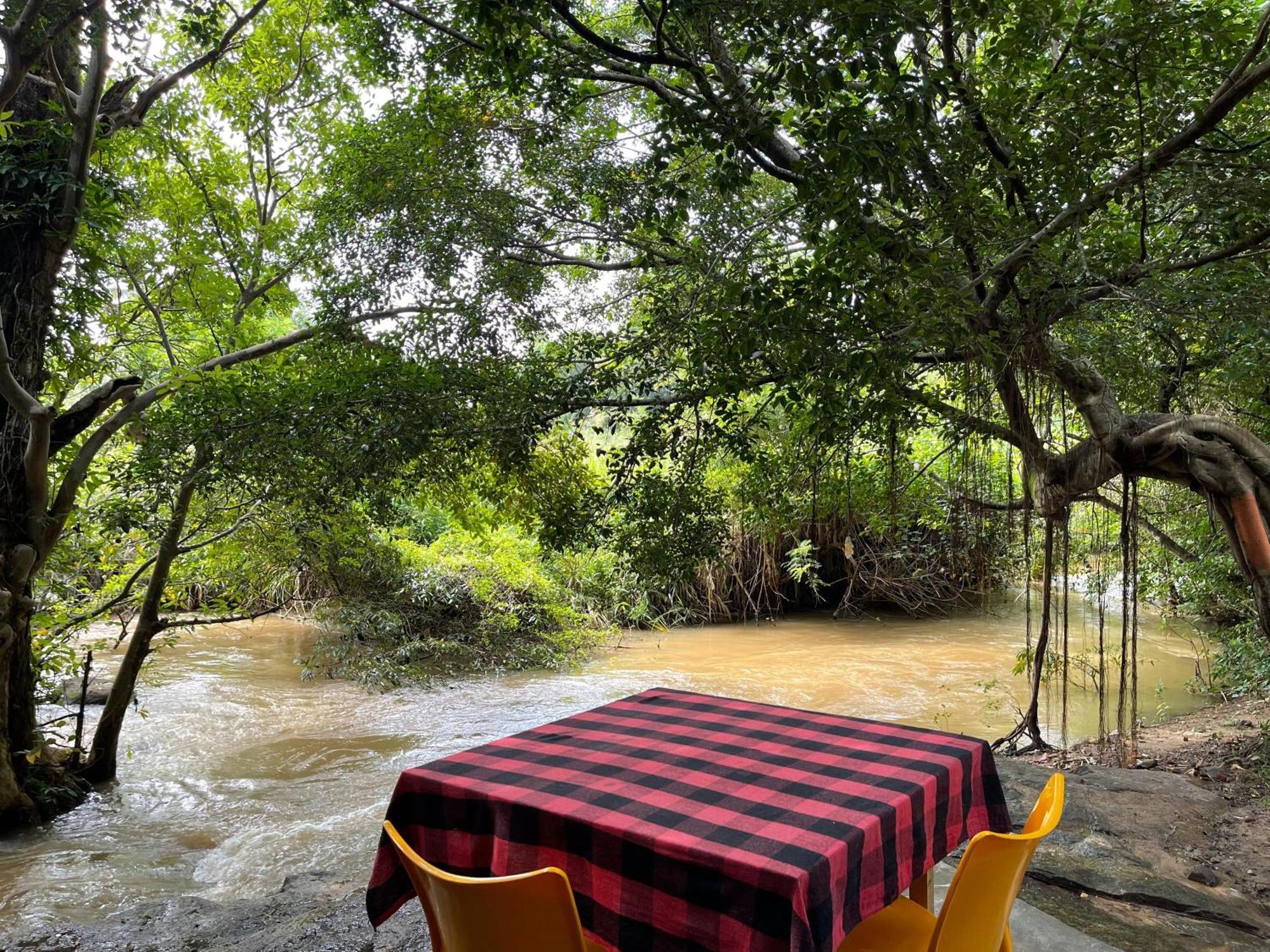 Sigiriya River Side Villa Екстер'єр фото