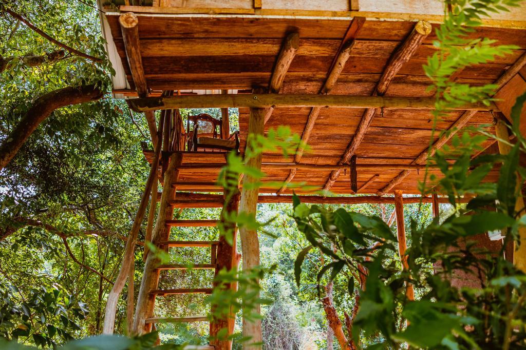 Sigiriya River Side Villa Екстер'єр фото