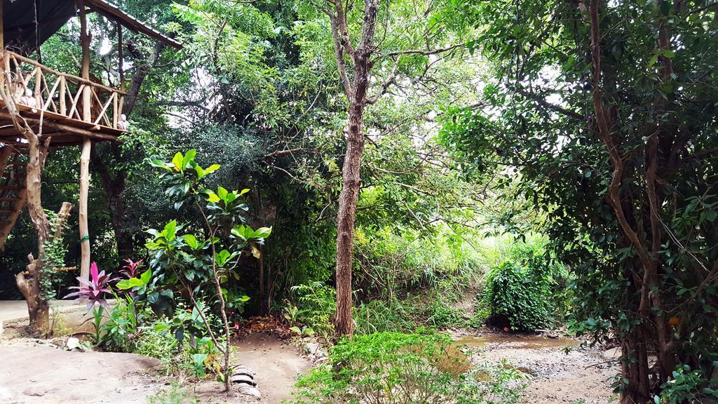 Sigiriya River Side Villa Екстер'єр фото