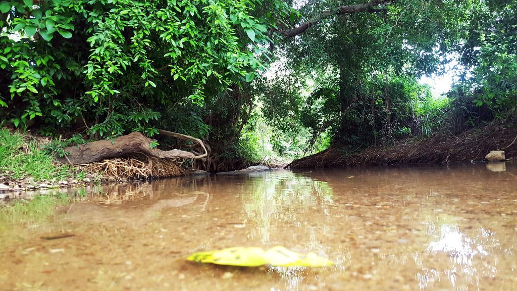 Sigiriya River Side Villa Екстер'єр фото